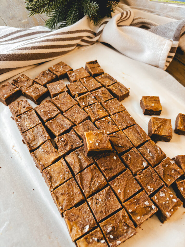 Peanut Butter Chocolate Fudge - STOCKPILING MOMS™