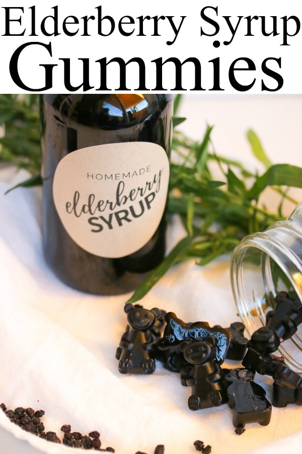 Featured image of post Easiest Way to Make How To Make Elderberry Syrup Gummies